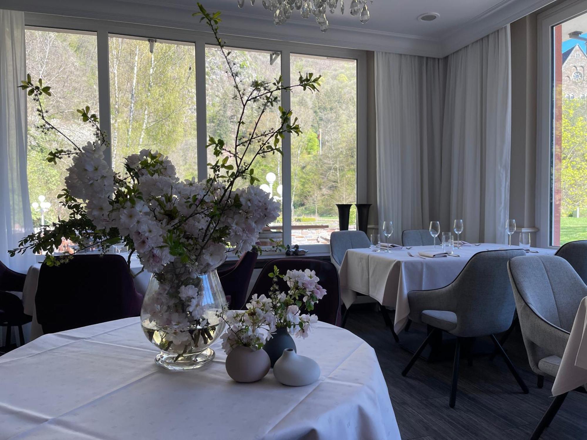 Hotel Alte Muehle